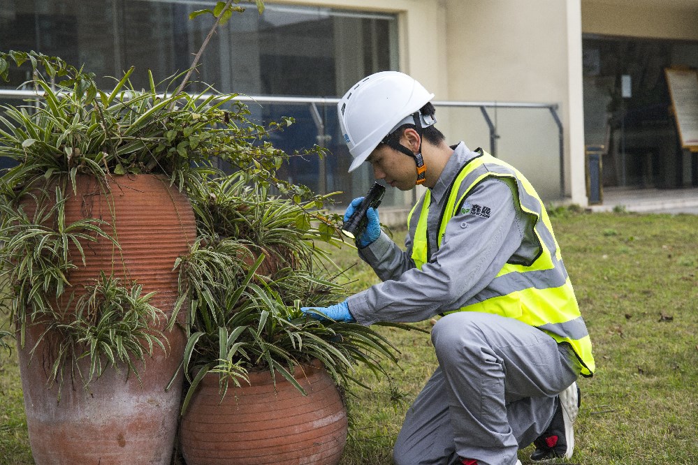 园林除虫